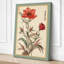Carnation Study Botanical - Wrapped Canvas-2013688621-2013688615