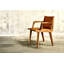 Rasucci Leather Arm Chair