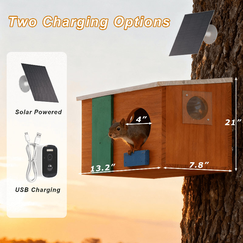 Smart Squirrel House with Caméra