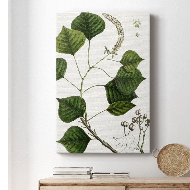 Tallow Tree - peinture sur toile tendue, H 18 po x l 12 po x P 1 po