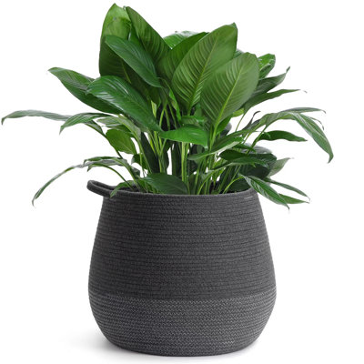 Ebern Designs Fabric Decorative Basket