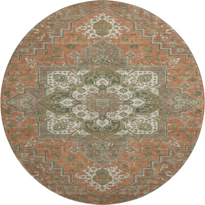 Premium Machine Washable Corum AMF1036 Oriental Rug