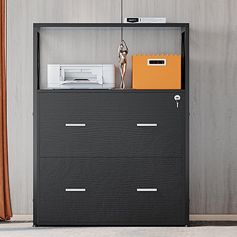 Vertical File Cabinets for Home Office with Lock and 2 Drawers, Office Organization and Storage Latitude Run Color: Black