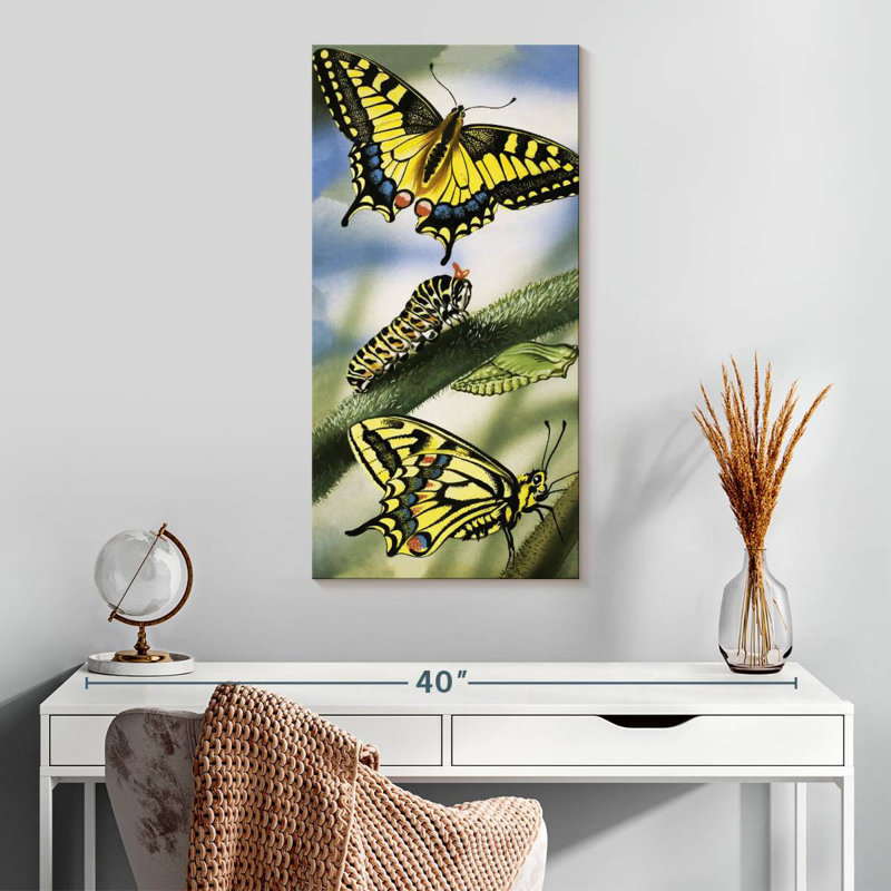 Papillons, H 30 po x l 15 po