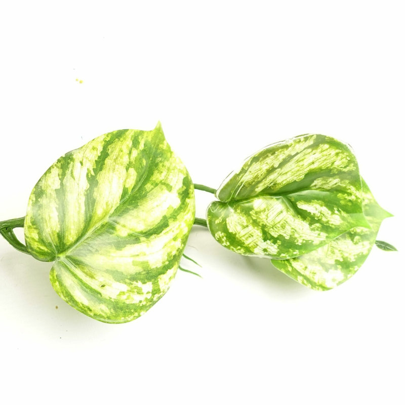 Hanging Plants 180cm Faux Ivy Plant