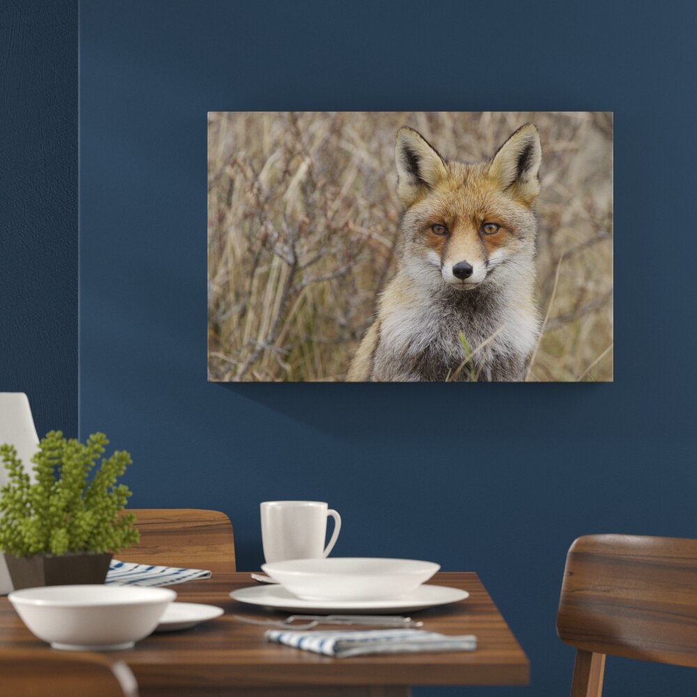 Leinwandbild „Aufmerksamer Fuchs im Geäst" von martha de jong-lantink, Fotodruck