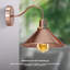 Ayon Armed Sconce-254272470