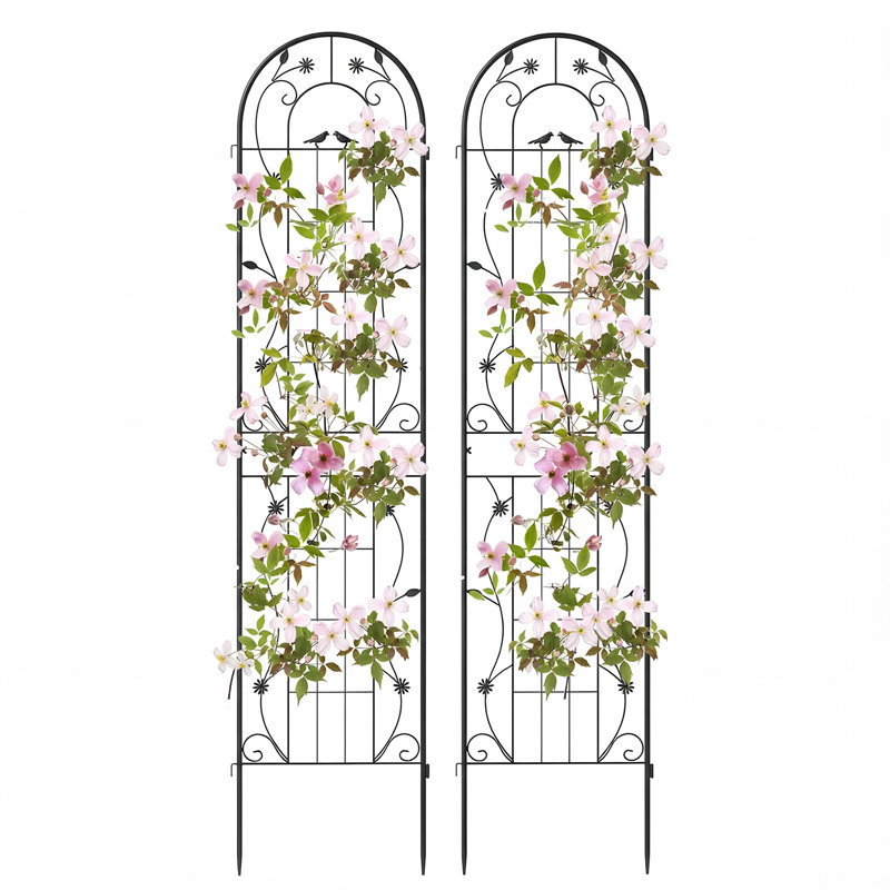 Metal Arched Trellis, Black, 220cm H x 50cm W