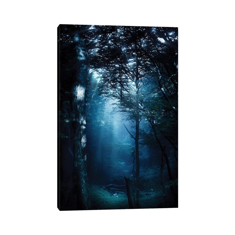 Misty Rays In A Dark Forest, Liselund Slotspark, Denmark. by Evgeny Kuklev - Wrapped Canvas Gallery-Wrapped Canvas Giclée
