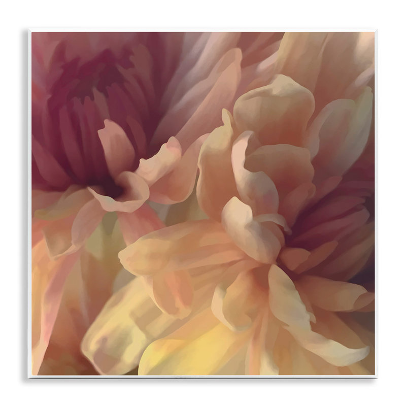 «Curling Dahlia Petals» par David Pollard