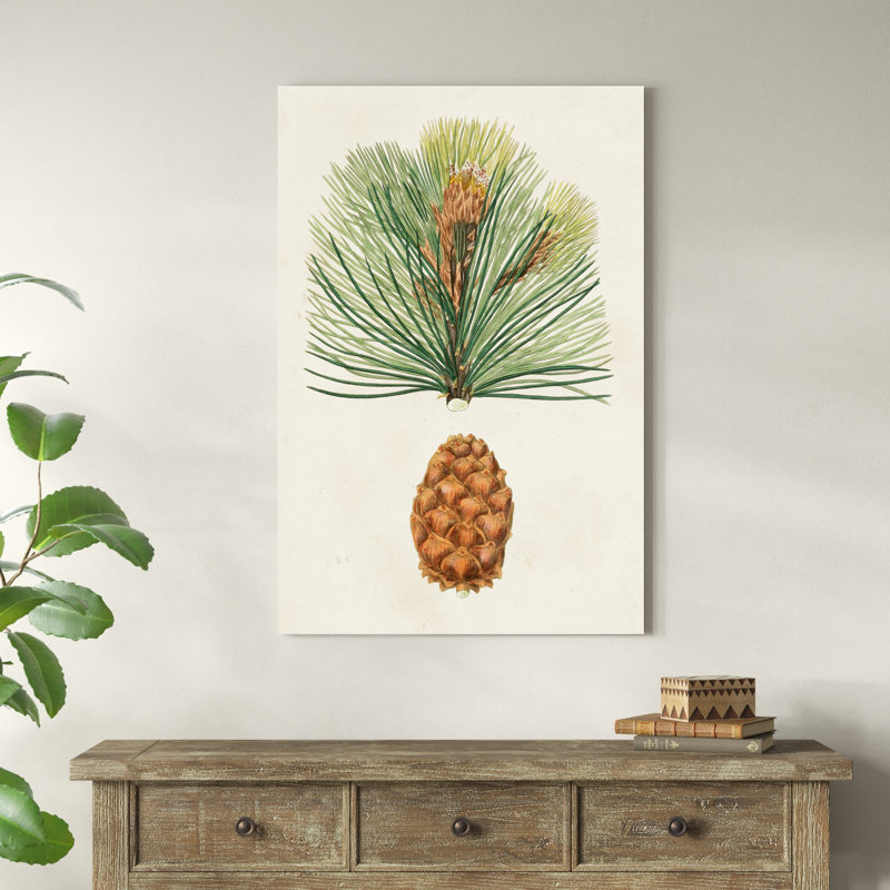 Pommes de pin antiques II, H 48 po x l 32 po