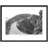 Sark, La CoupÃ£Â¨E C1890 by Francis Frith - Single Picture Frame Print-51378395