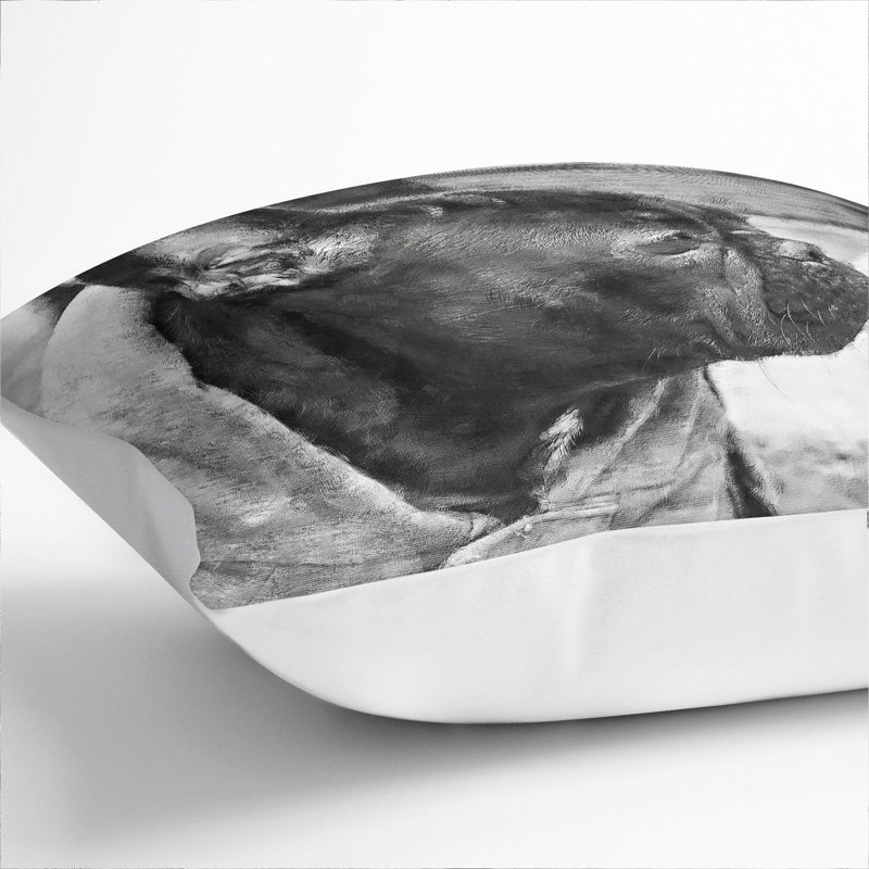 Square Cushion, 55cm H x 55cm W x 20cm D, White
