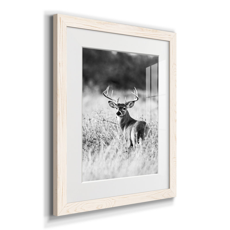 " Grasslands ", White Framed Paper, 37.5" H x 27.5" W x 1.5" D, White
