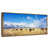 Floating Frame Gold