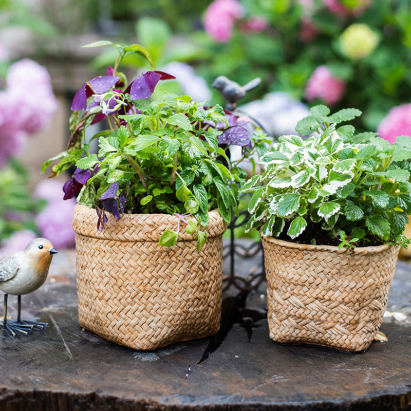 Dekou Handmade Pot Planter, 3.9"H x 5.5"W x 5.5"D