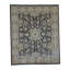 Wool Oriental Area Rug