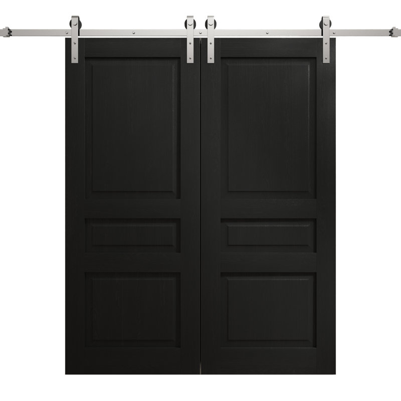 Porte de grange double moderne | Ego 5012 | Ensemble de rail argenté | Portes intérieures solides, Chêne noir peint