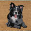 Non-Slip Animal Print Doormat