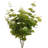 20'' Faux Eucalyptus Plant