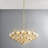 6-Light Chandelier