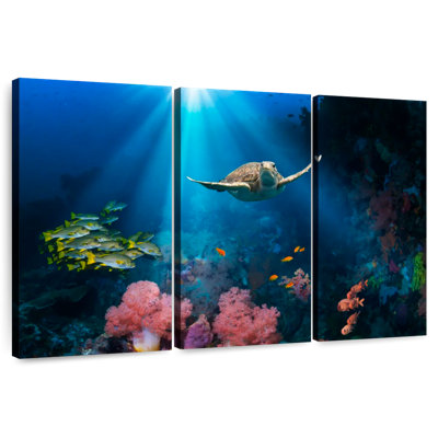Ocean Underwater
