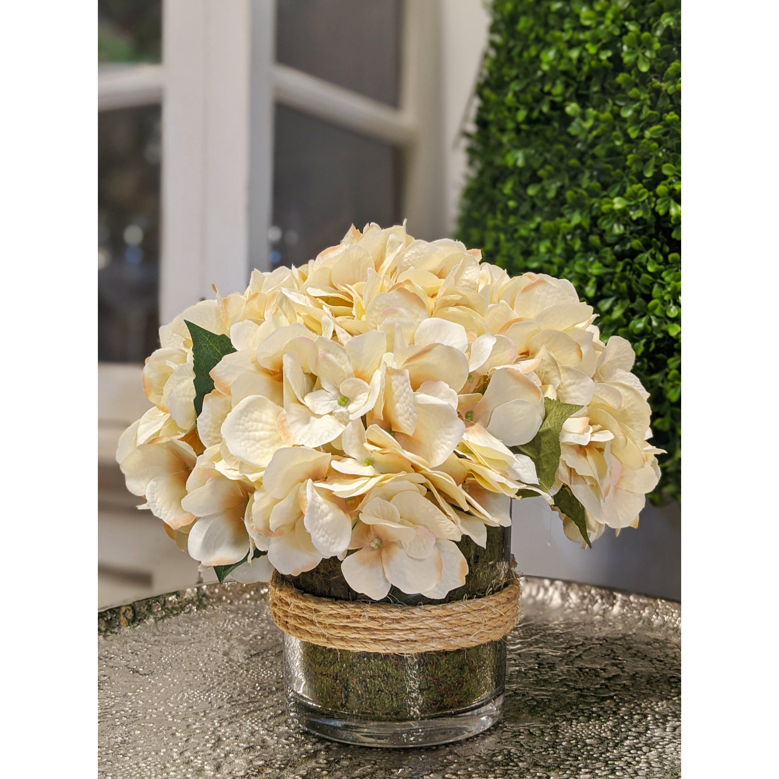 Hydrangea in Glass vase with Moss, Beige