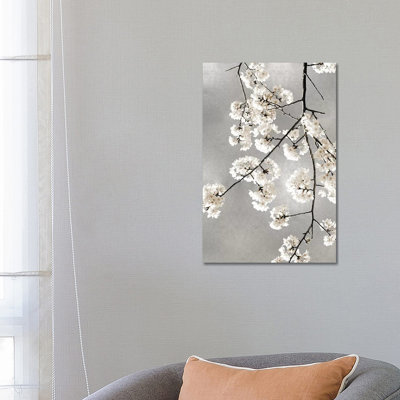 White Blossoms On Silver III by Kate Bennett - Wrapped Canvas Print