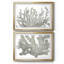 Stone Macro Coral III - ensemble de 2 reproductions de cadres photo-7751278-7751279
