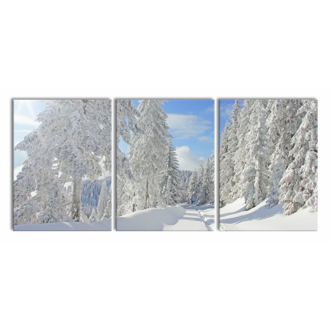 3-tlg. Leinwandbilder-Set Trees in a Winter Landscape