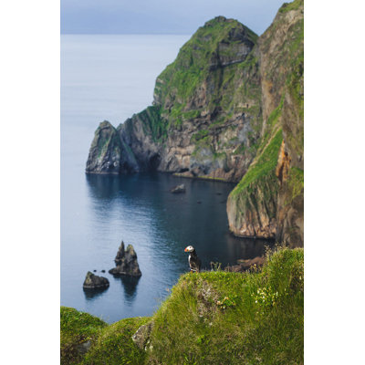 " Vestmannaeyjar Island " by Olegbreslavtsev
