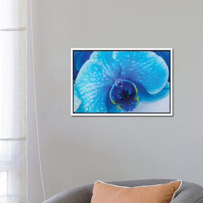 Blue Orchid III 1 Piece Wall Art on Canvas
