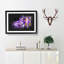 Wild Purple Orchid Flowers - Picture Frame Graphic Art Print-56863833-56863839