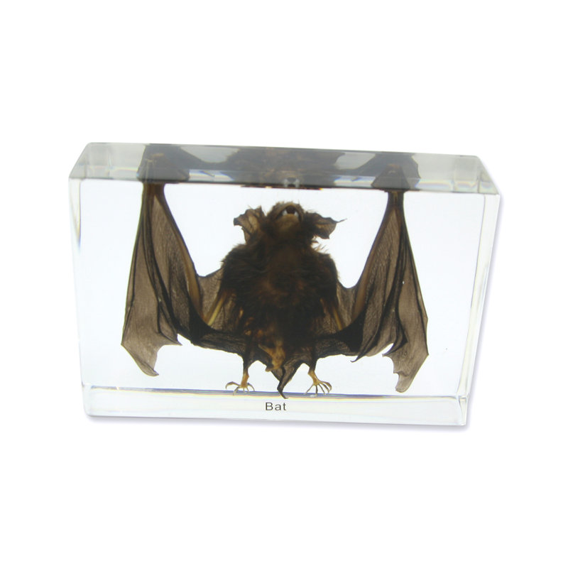 Quast Animals Figurines & Sculptures