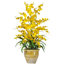 Flower Centerpieces