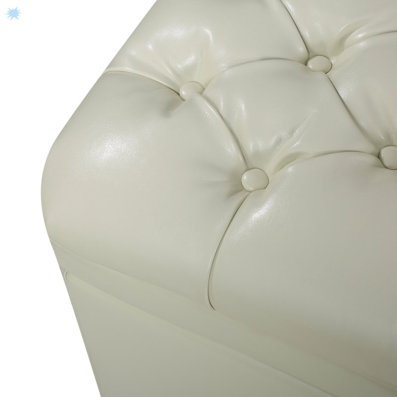 Repose-pieds moderne avec rangement pour le salon