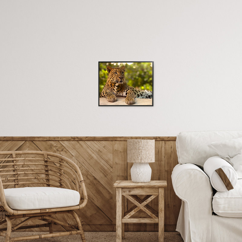 «Leopard Gazing Relaxation», estampe numérique, conception par MJ Photographie, Giclée encadrée noir minuit