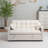 Sleeper Sofa Bed