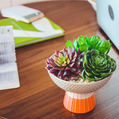 7.75 " H Faux Succulent Plant in Ceramic Planter