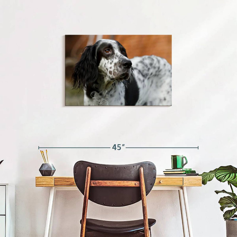 Spotted English Setter, 20" H x 30" W