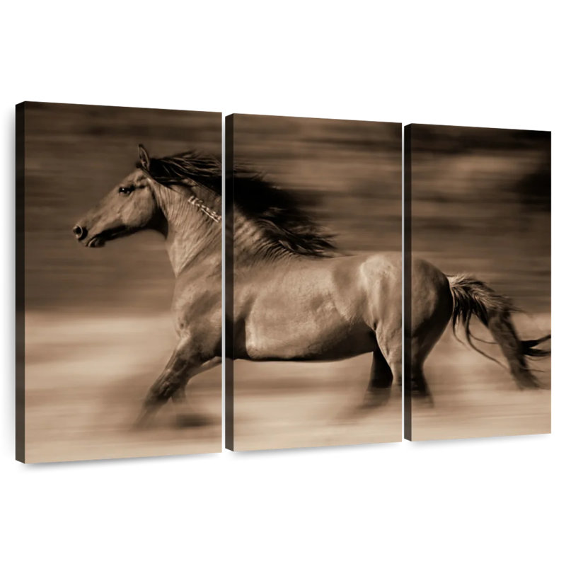 Brampt Wind Runner, 20" H x 33" W