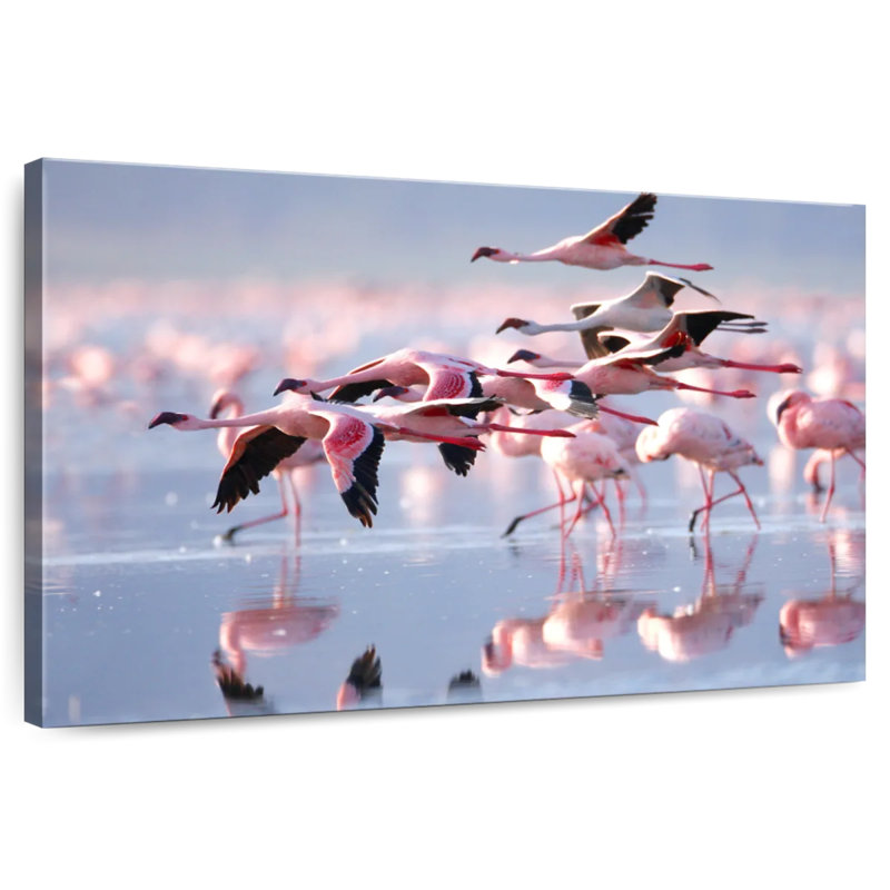 Brampt Lesser Flamingos, 8" H x 12" W
