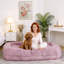 Canapé-lit pliant, lit pour chien convertible-1663153789