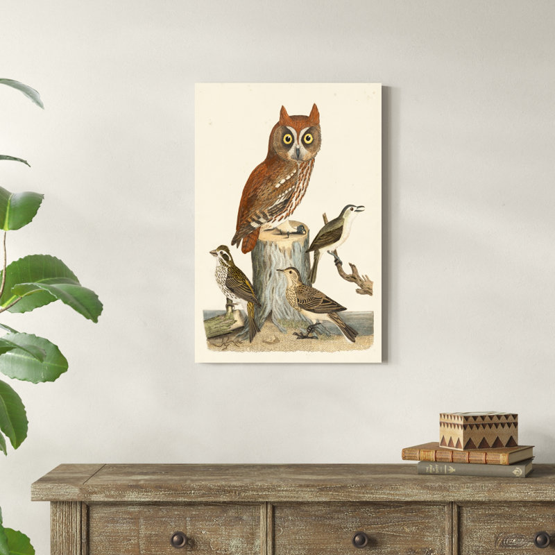 Wilson Owls II, H 30 po x l 20 po x P 1 po