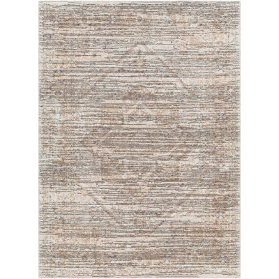 Elisa Chenille Oriental Indoor Rug