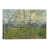 Toile tendue