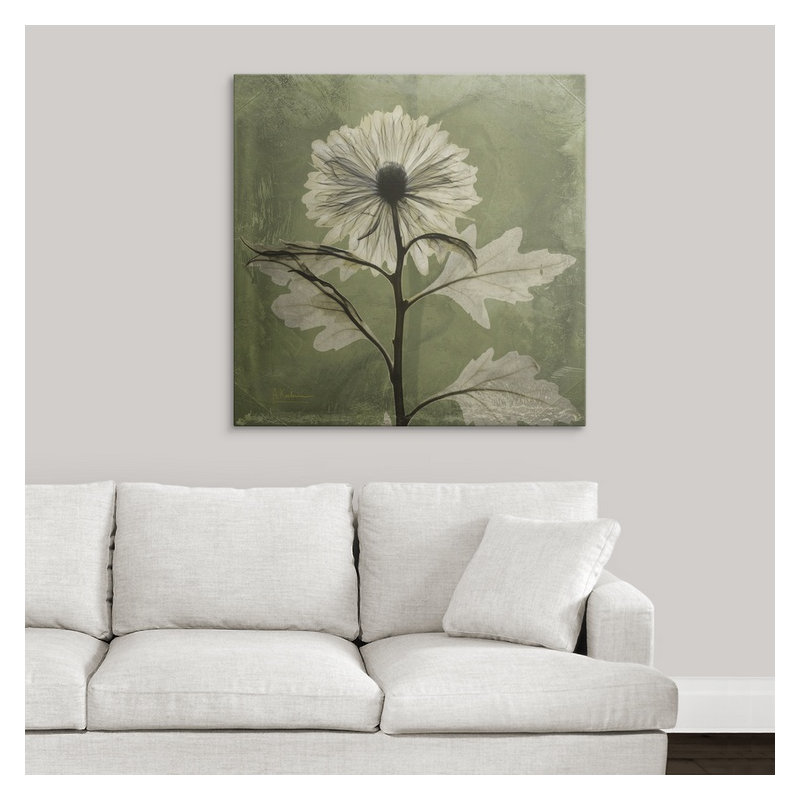 «par albert koetsier,, reproduction de photo Chrysanthemum X-Ray, H 35 po x l 35 po x P 1,5 po, Toile