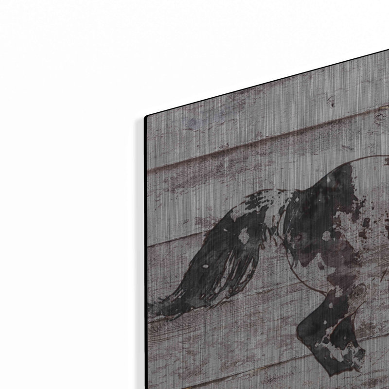 «Cheval arabe qui court» par Irena Orlov, H 16 po x l 24 po