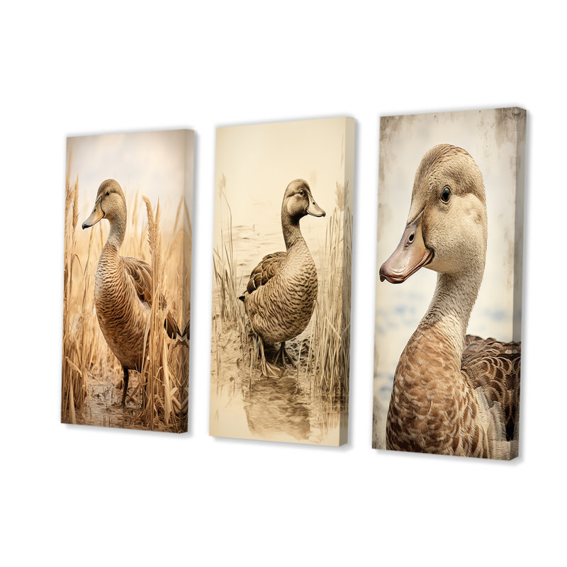 «Brown Duck Elegance I», ensemble de 3 reproductions d'art mural, Toile tendue, H 32 po x l 48 po