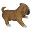 Boxer Puppy Playing Statue